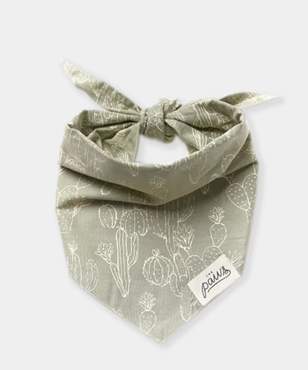    The-Paws-bandana-pour-chien-cactus-zion