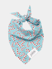    The-Paws-bandana-pour-chien-candyland-bleu