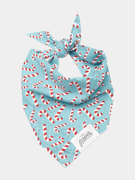   The-Paws-bandana-pour-chien-candyland-bleu