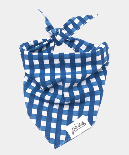    The-Paws-bandana-pour-chien-carreau-bleu
