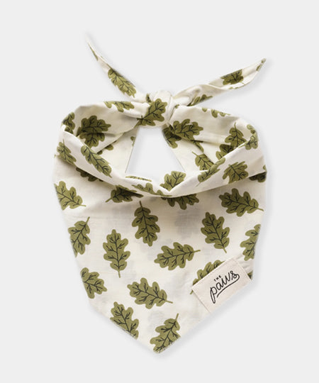    The-Paws-bandana-pour-chien-feuille-russell