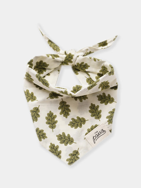    The-Paws-bandana-pour-chien-feuille-russell