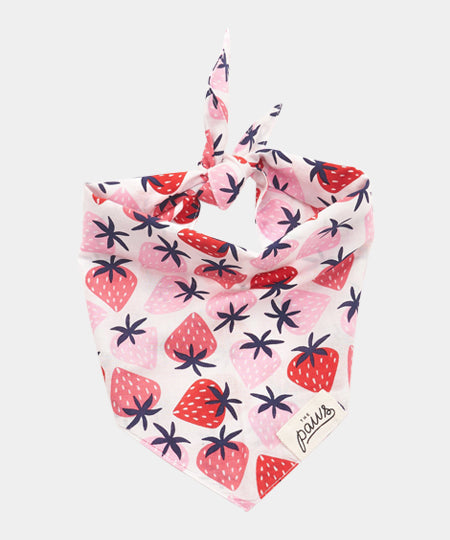   The-Paws-bandana-pour-chien-fraise