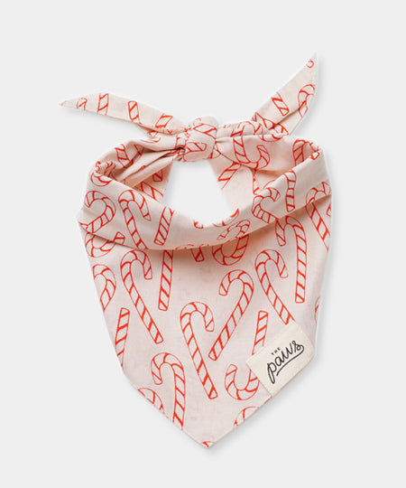    The-Paws-bandana-pour-chien-noel-Elfie-sucre-orges