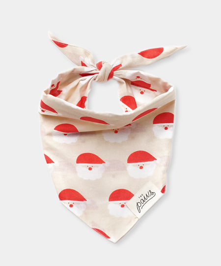    The-Paws-bandana-pour-chien-noel-Jolly