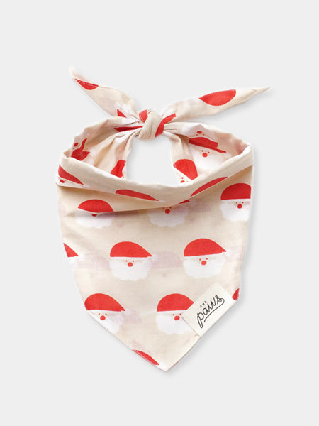    The-Paws-bandana-pour-chien-noel-Jolly