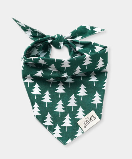 The-Paws-bandana-pour-chien-noel-Rainier