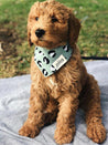 The-Paws-bandana-pour-chien-panthere-vert