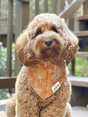     The-Paws-bandana-pour-chien-true-north