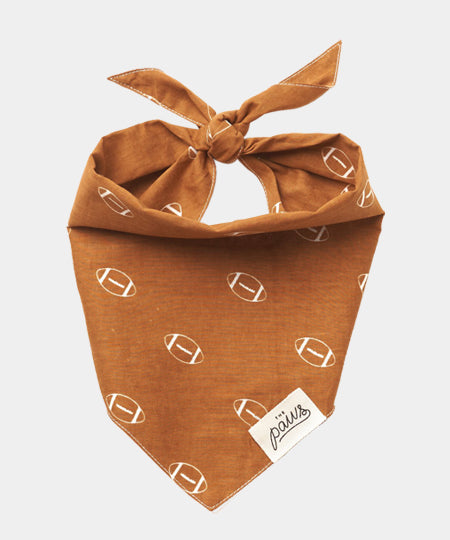    The-Paws-bandana-pour-chien-rugby