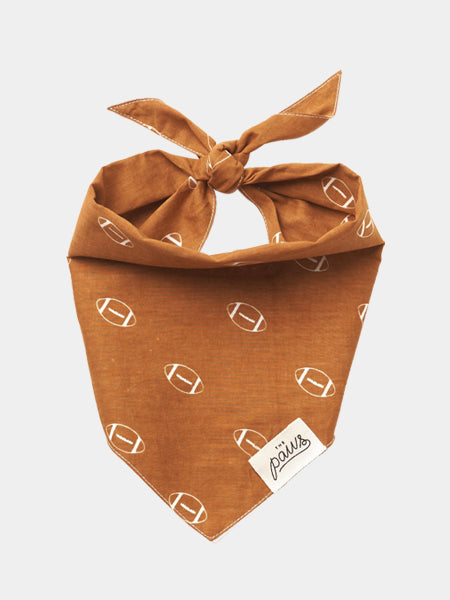   The-Paws-bandana-pour-chien-rugby