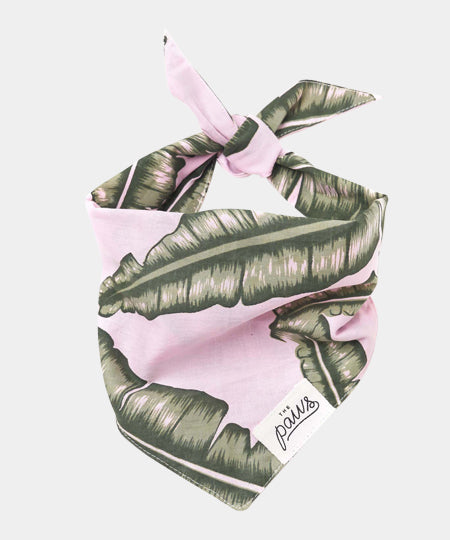 The-Paws-bandana-pour-chien-splash-of-pink
