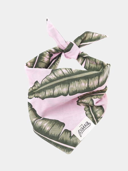 The-Paws-bandana-pour-chien-splash-of-pink