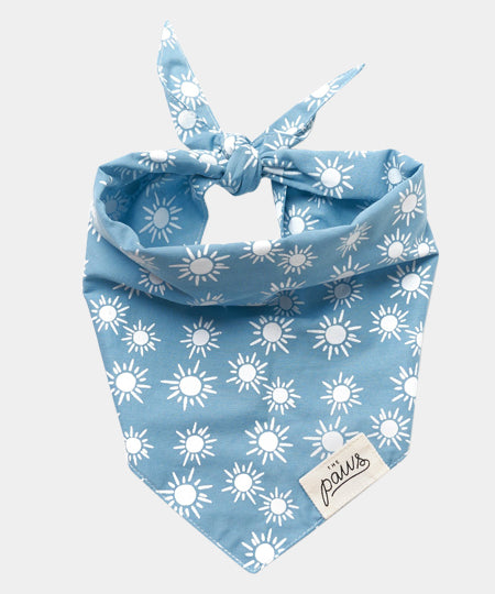 The-Paws-bandana-pour-chien-sunday