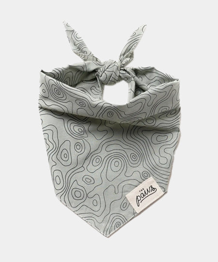     The-Paws-bandana-pour-chien-trail