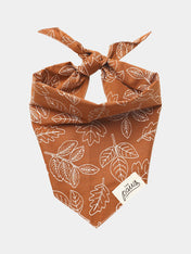    The-Paws-bandana-pour-chien-true-north