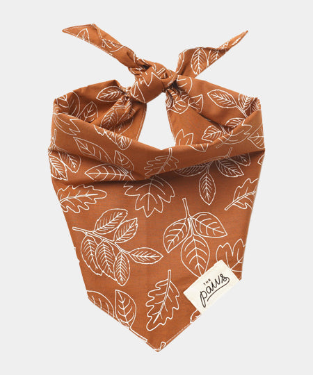    The-Paws-bandana-pour-chien-true-north