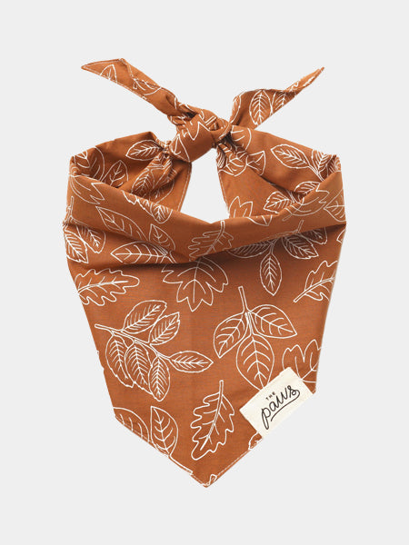    The-Paws-bandana-pour-chien-true-north