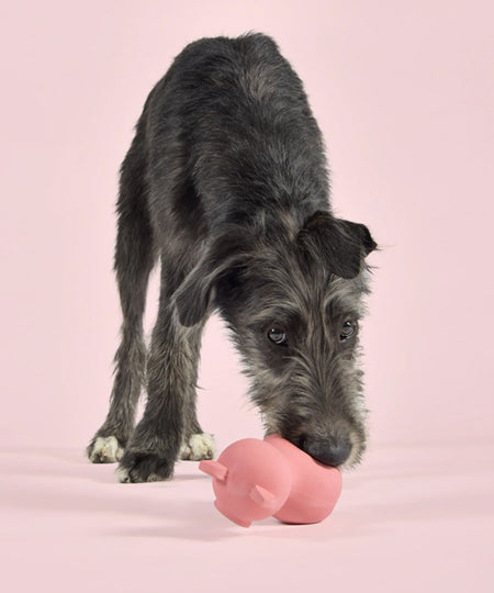       United-pets-jouet-latex-chien-PIGS-pinky