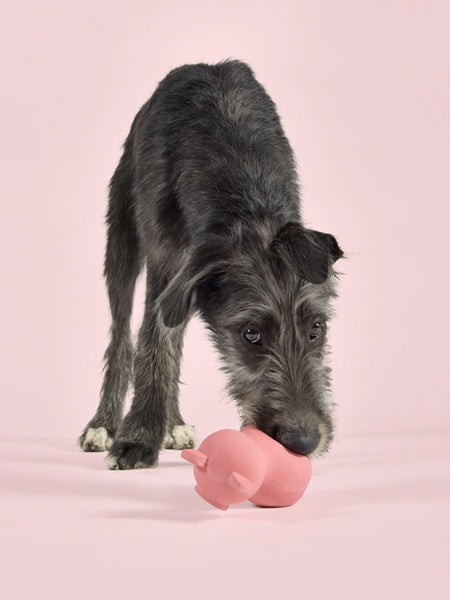       United-pets-jouet-latex-chien-PIGS-pinky