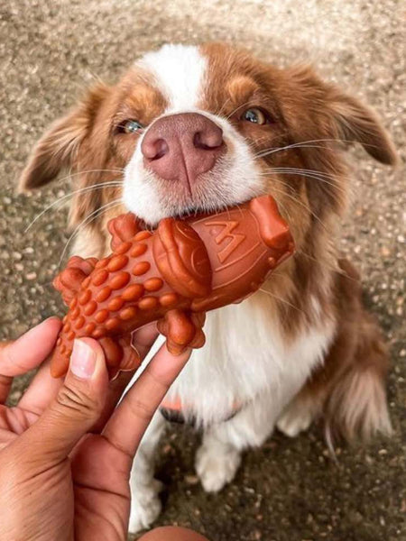    Whimzees-friandises-pour-chien-a-macher-alligator-medium