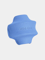        Wild-one-accessoire-chien-design-balle-twist-toss-bleu-clair