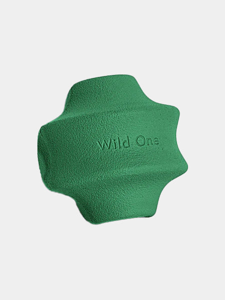       Wild-one-accessoire-chien-design-balle-twist-toss-vert