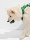       Wild-one-accessoire-chien-design-balle-twist-toss-vert