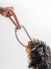 Wild-one-accessoire-chien-design-triangle-tug-rose