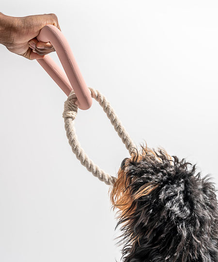 Wild-one-accessoire-chien-design-triangle-tug-rose