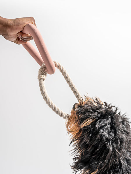 Wild-one-accessoire-chien-design-triangle-tug-rose