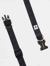 Wildebeest-collier-de-qualite-pour-chien-noir