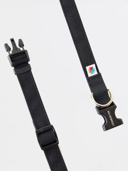 Wildebeest-collier-de-qualite-pour-chien-noir