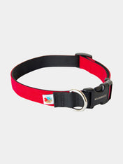 Wildebeest-collier-de-qualite-pour-chien-rouge