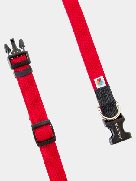 Wildebeest-collier-de-qualite-pour-chien-rouge