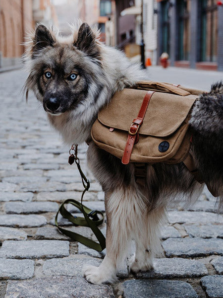Wolf-Republic-Ranger-Pack-Sac-a-dos-chien-whiskey