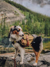 Wolf-Republic-Ranger-Pack-Sac-a-dos-chien-whiskey