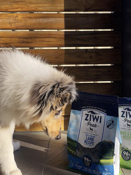 Ziwi-peak-alimentation-premium-pour-chien-qualite-agneau-seche-lamb-receipe