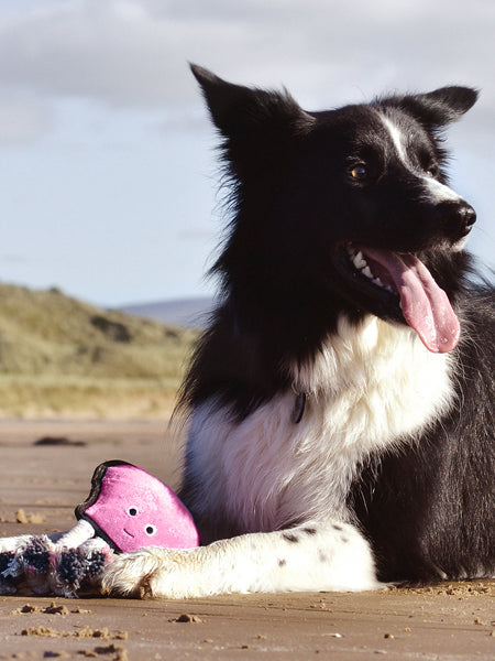    becopets-jouet-ecologique-pour-chien-pieuvre