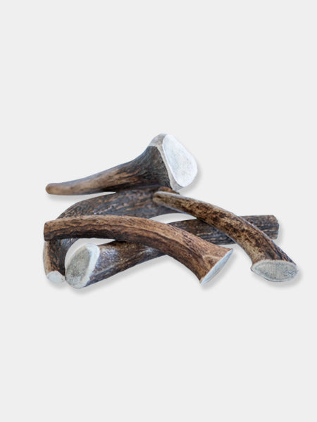     bois-de-cerf-a-macher-pour-chien-inooko
