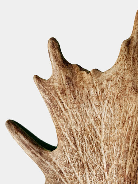 Bois de daim à mâcher 100% naturel - Taille M