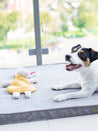 bowl-and-bone-jouet-peluche-pour-petit-chien-chiot-petit-ane-jaune
