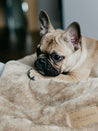 bowl-and-bone-plaid-pour-chien-chiot-nap-gris