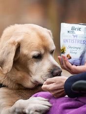        brit-friandises-naturelles-pour-chien-crevette-chanvre-antistress