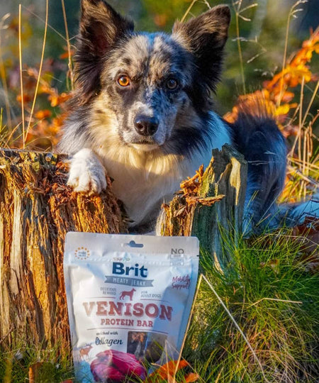 brit-friandises-naturelles-pour-chien-filet-cerf