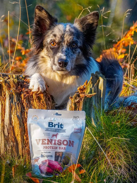 brit-friandises-naturelles-pour-chien-filet-cerf