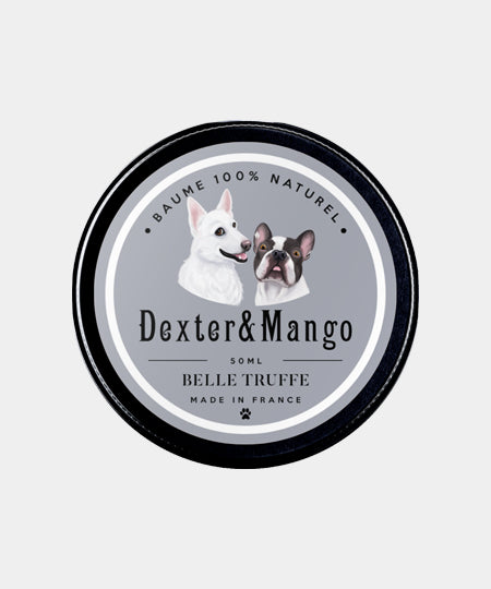    dexter-et-mango-soins-pour-chien-belle-truffe
