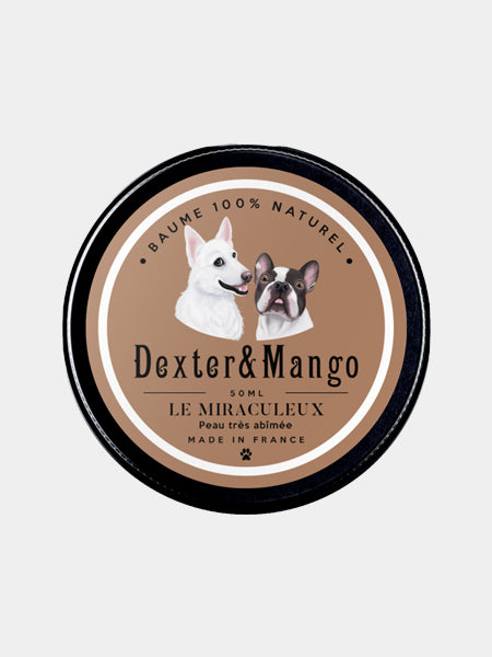     dexter-et-mango-soins-pour-chien-miraculeux