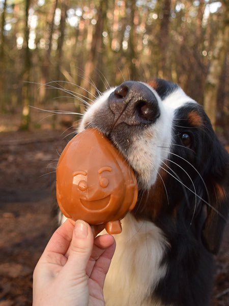     garden-bites-friandises-pour-chien-vegan-large