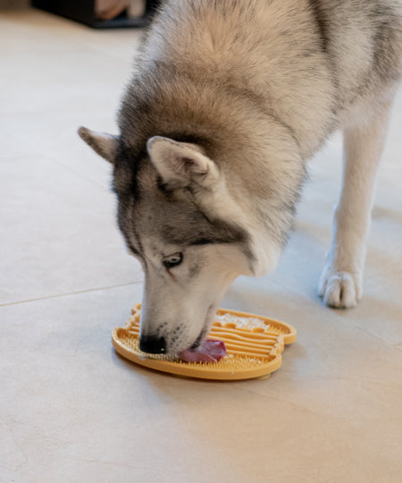       inooko-Tapis-lechage-YoomY-Burger